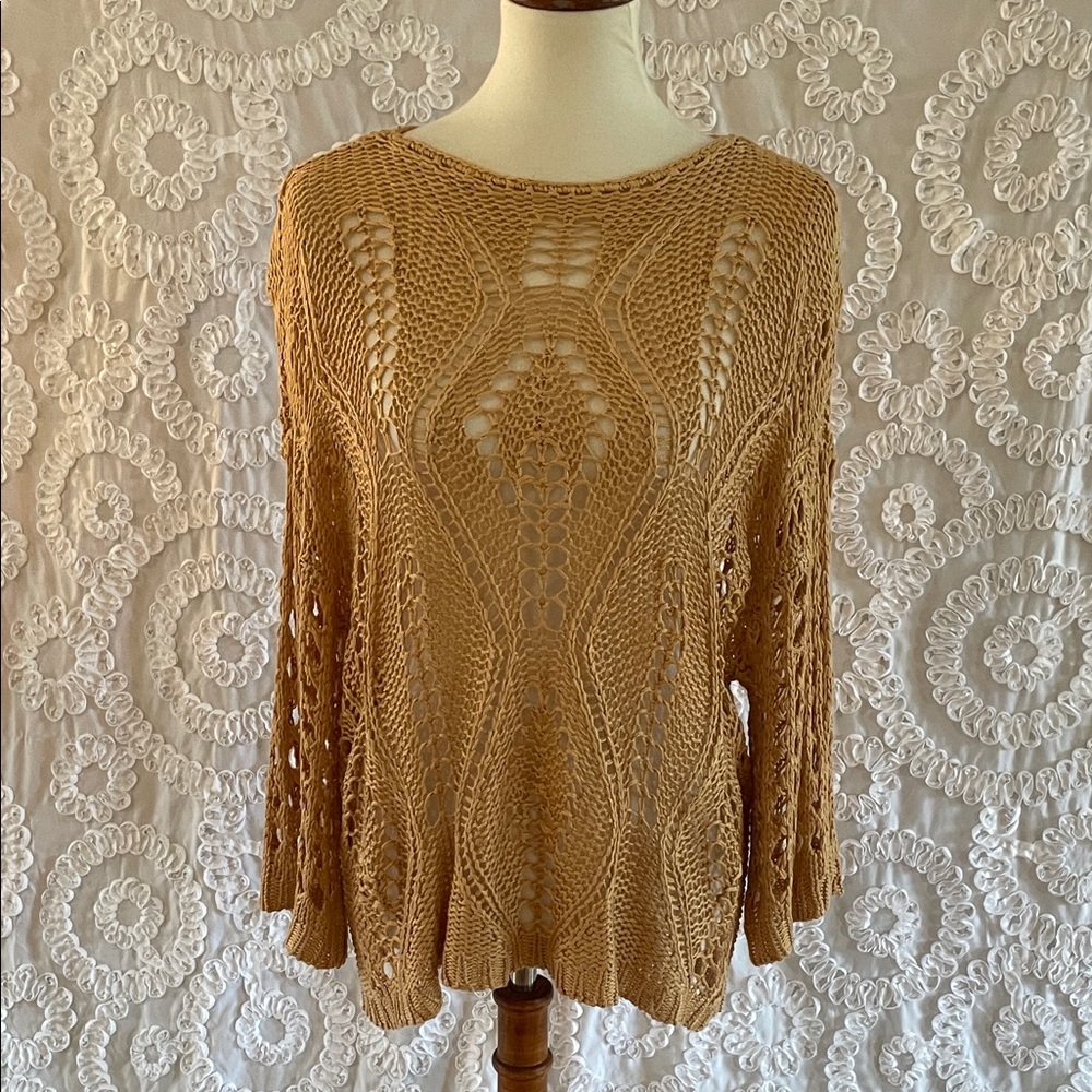 Charlie B Crochet Dolman Sleeve Sweater Boat Neck